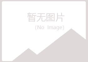 龙岩夏槐机械有限公司